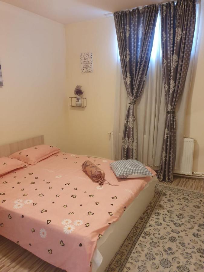 Relax Haus Hotel Hunedoara Bagian luar foto
