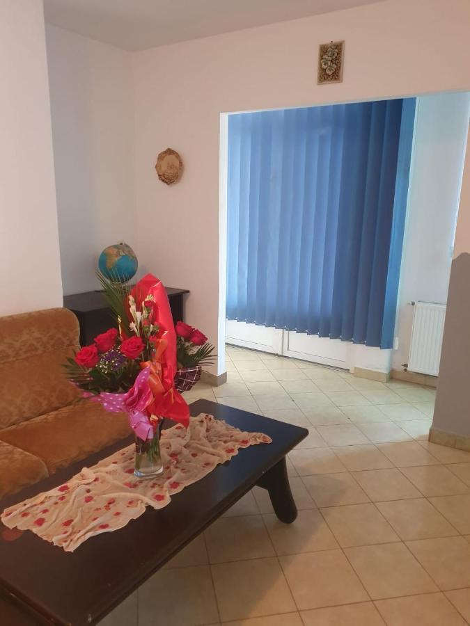 Relax Haus Hotel Hunedoara Bagian luar foto