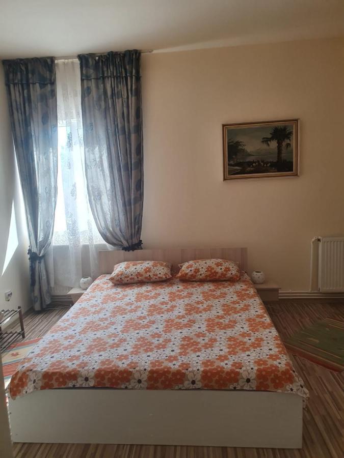 Relax Haus Hotel Hunedoara Bagian luar foto