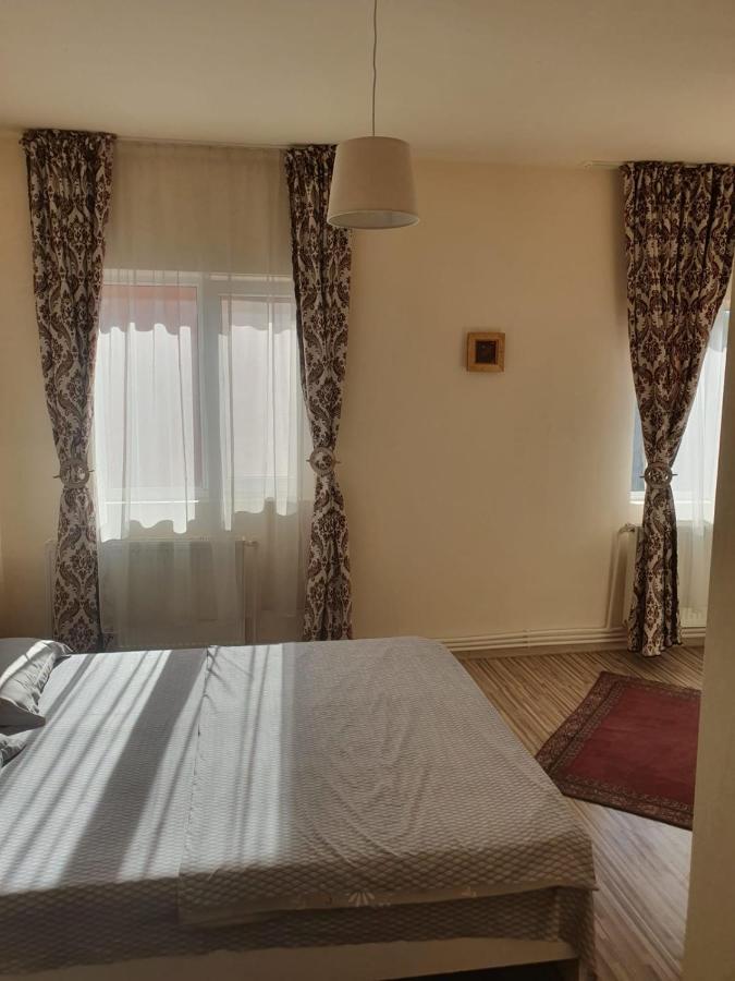 Relax Haus Hotel Hunedoara Bagian luar foto